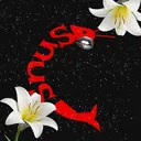 @snu.s1