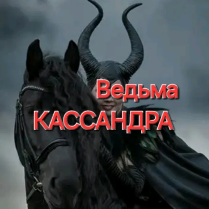 medium981