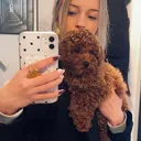@eltje15