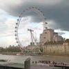 sherni1457