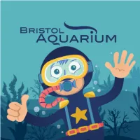 @bristolaquarium