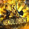nekkir_nn