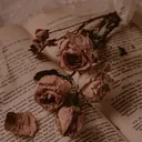 @fanficcreations
