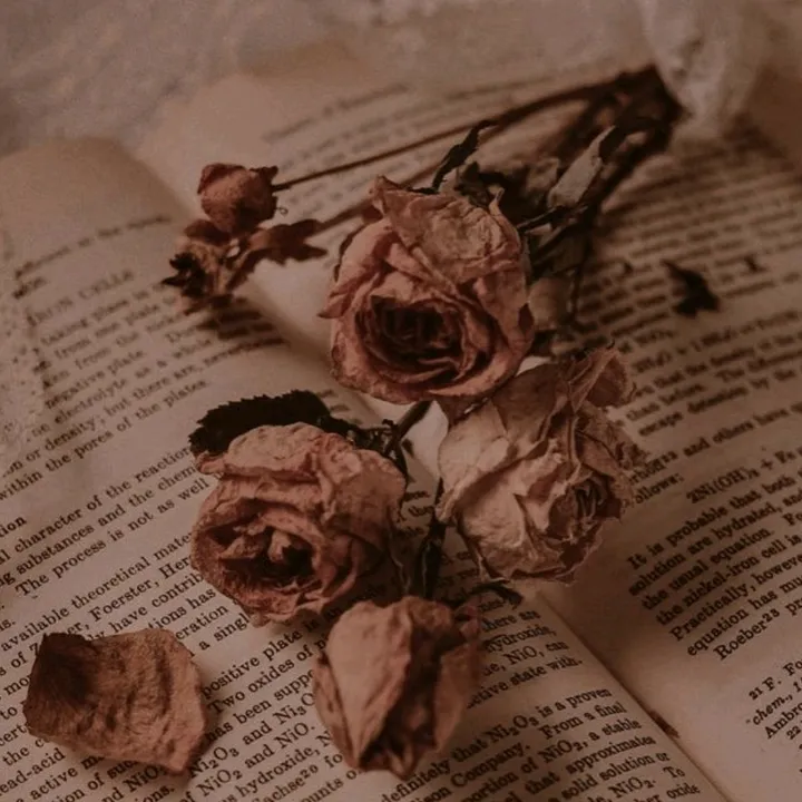 @fanficcreations