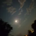 @marcolinoo294