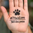 @bettypt_
