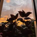 @jessica_nickel21