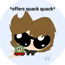 @doodle.furs