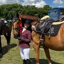 @mfj.horses