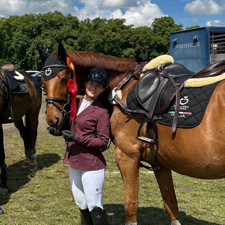mfj.horses