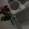 safeplase4