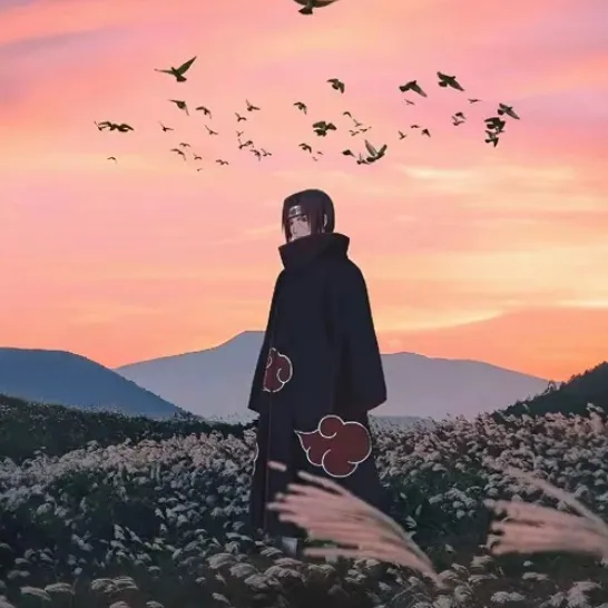 saman_del
