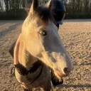 @eq.marjolein