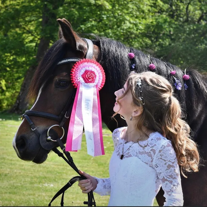 cath_123bdr