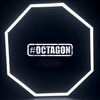 octagon213dz