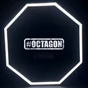 @octagon213dz