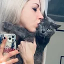 @dynamicfrankie