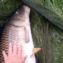 @owain_tobi_fishing