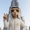 dubaidreams_