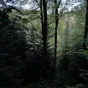 @yasnib._