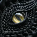 @the.dragon.ward