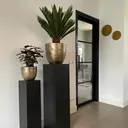 @savvyshoppert