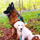 @jett_and_cruz