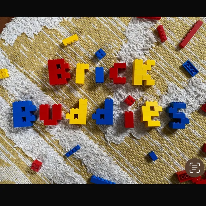 brickbuddiesofficial