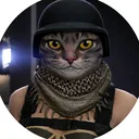 @meow_gta