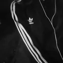 @kitten6095