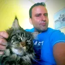@alessiosorrentino33