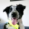 marley.0401