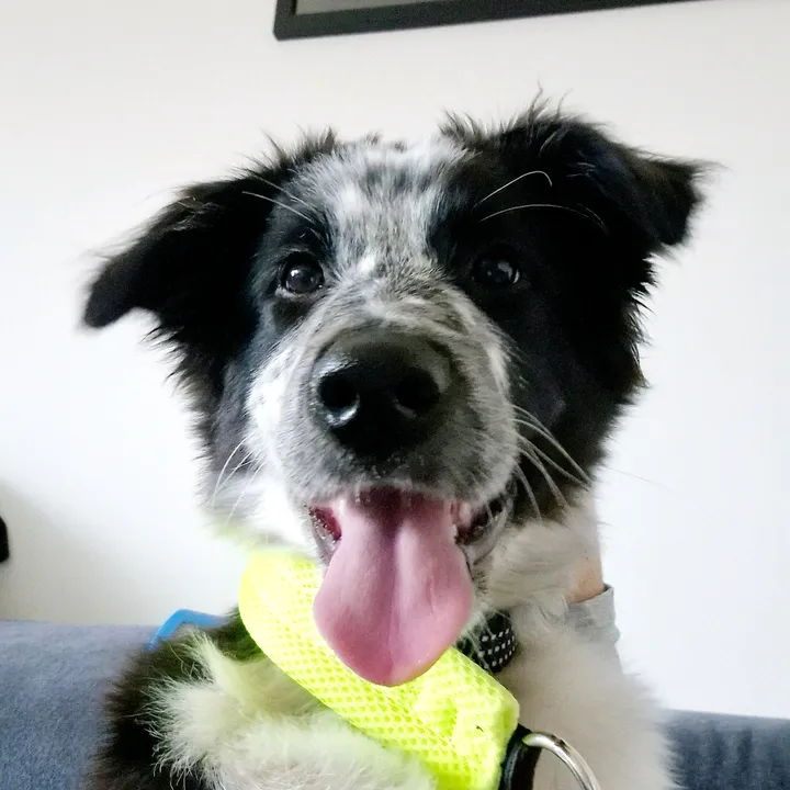 marley.0401