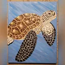 @schildkroetenvogtland