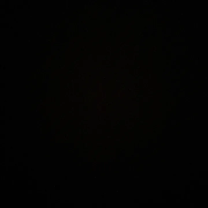 @bosanskikralj_5