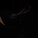 @nj_alex2