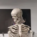 @british_bastard420