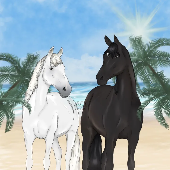 @two.perfeckt.horses