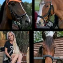@cocosunnyhorses