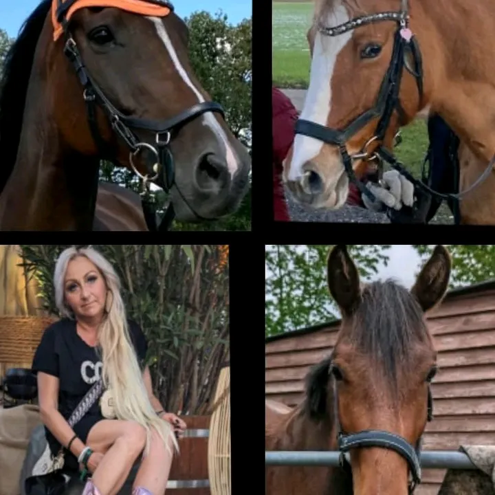cocosunnyhorses