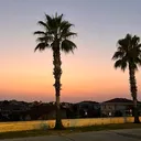 @simplygulsumo