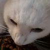 dave_mtb_82