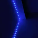 @nxco_564