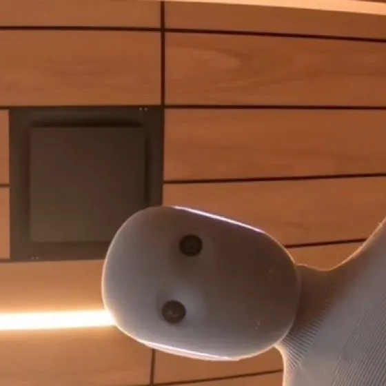 ai.gio7