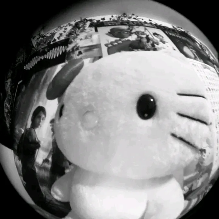 prvt_dl