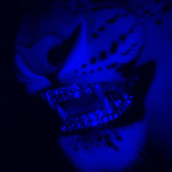@cosa340