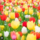 @sazzle2022
