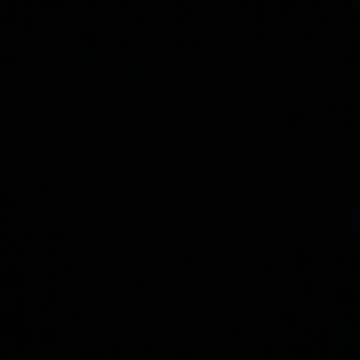 lilia_z02