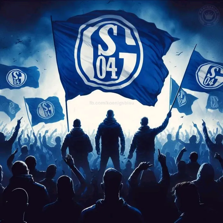 @schalke.total
