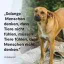 @rescuersalexandria